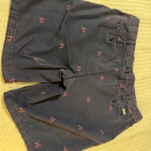 Izod Tan Shorts with Blue Trim